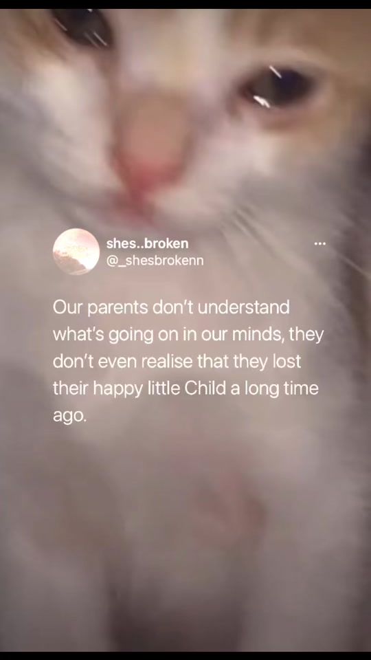 TikTok video thumbnail by opsoc