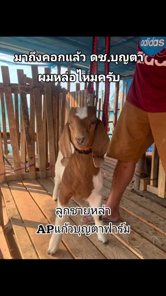 TikTok video thumbnail by aum_1173