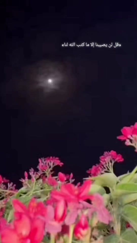 TikTok video thumbnail by esraahruop