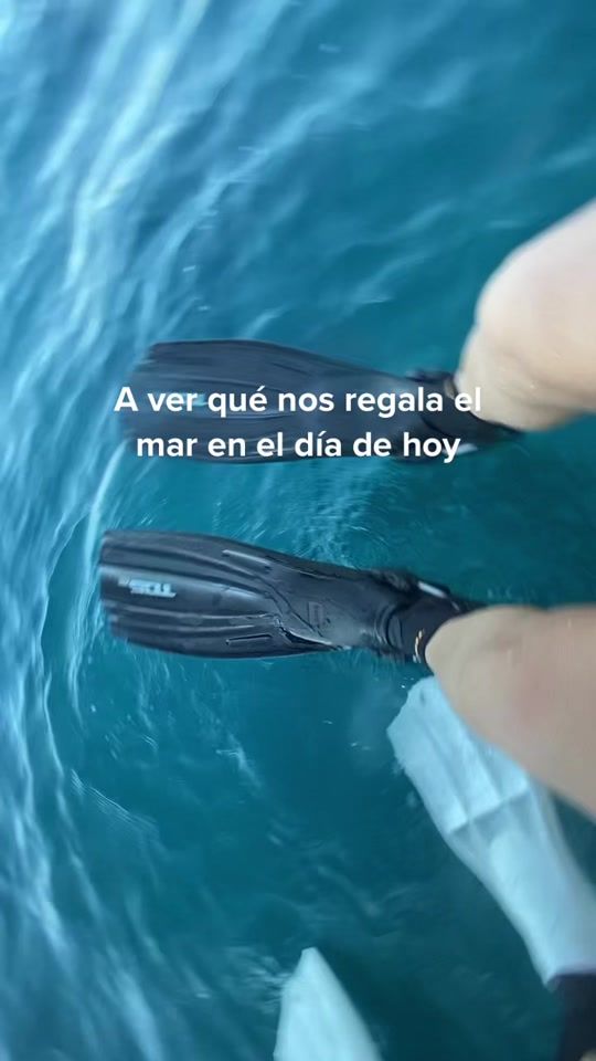TikTok video thumbnail by mariabarbena
