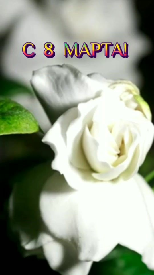 TikTok video thumbnail by live_love85
