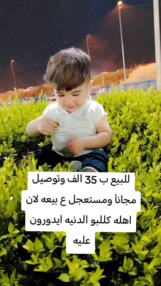 TikTok video thumbnail by user6472826199509