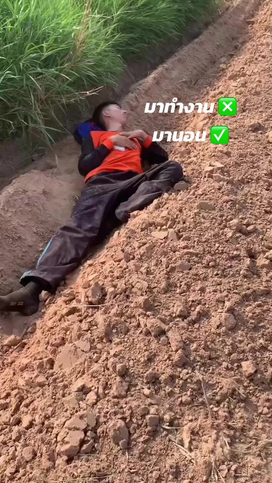 TikTok video thumbnail by poomswc1