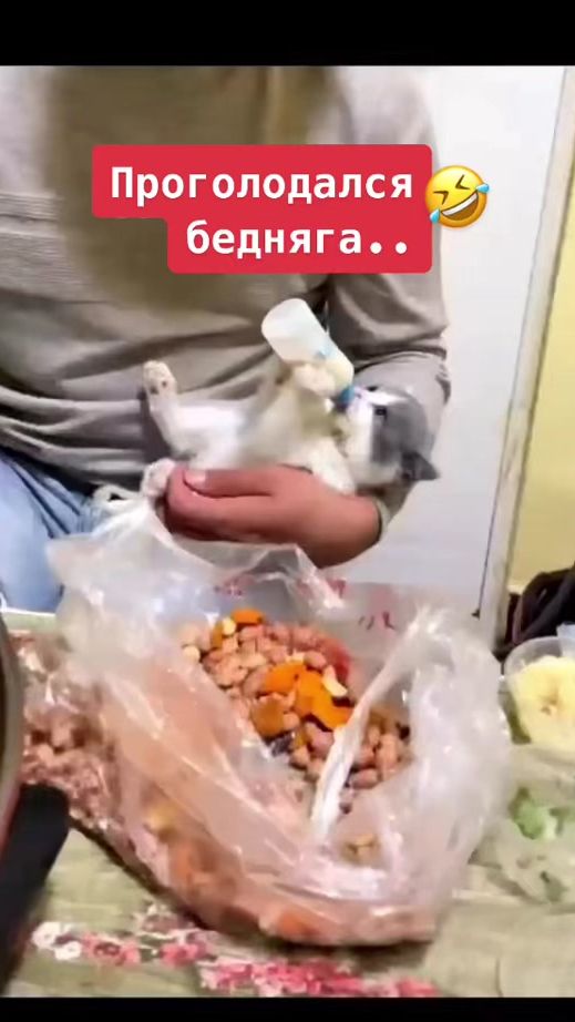 TikTok video thumbnail by luna23057