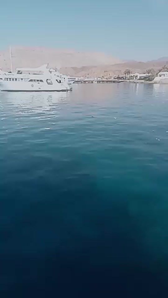 TikTok video thumbnail by hh13801