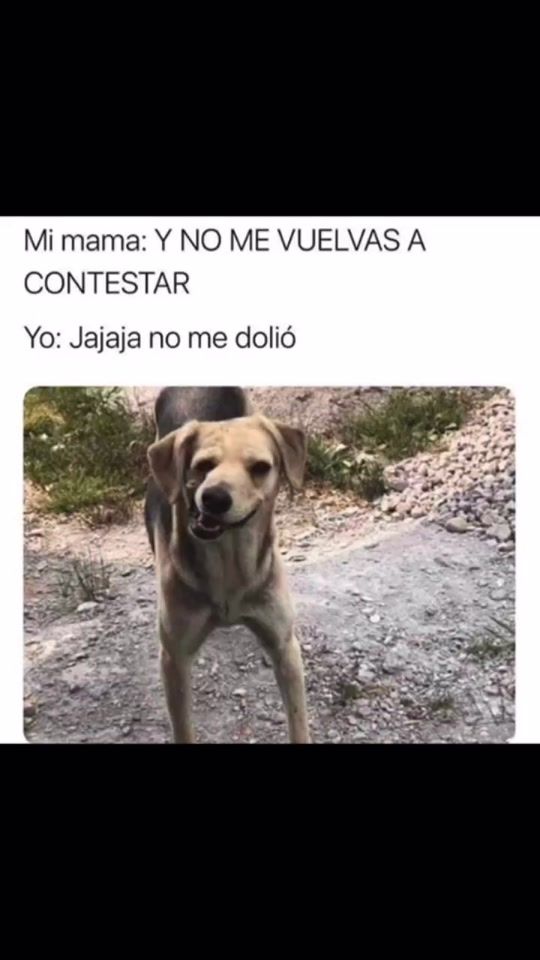 TikTok video thumbnail by el_pepe536