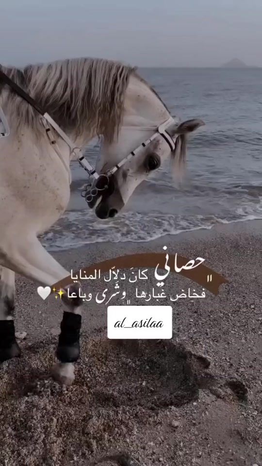 TikTok video thumbnail by queen_sham_4