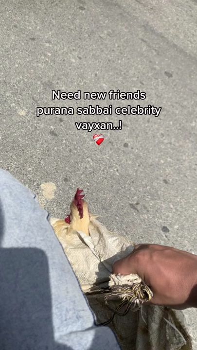 TikTok video thumbnail by me_raj27