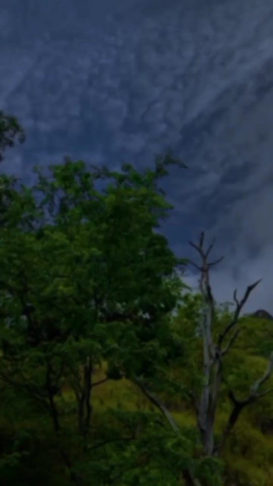 TikTok video thumbnail by _mrvenu_