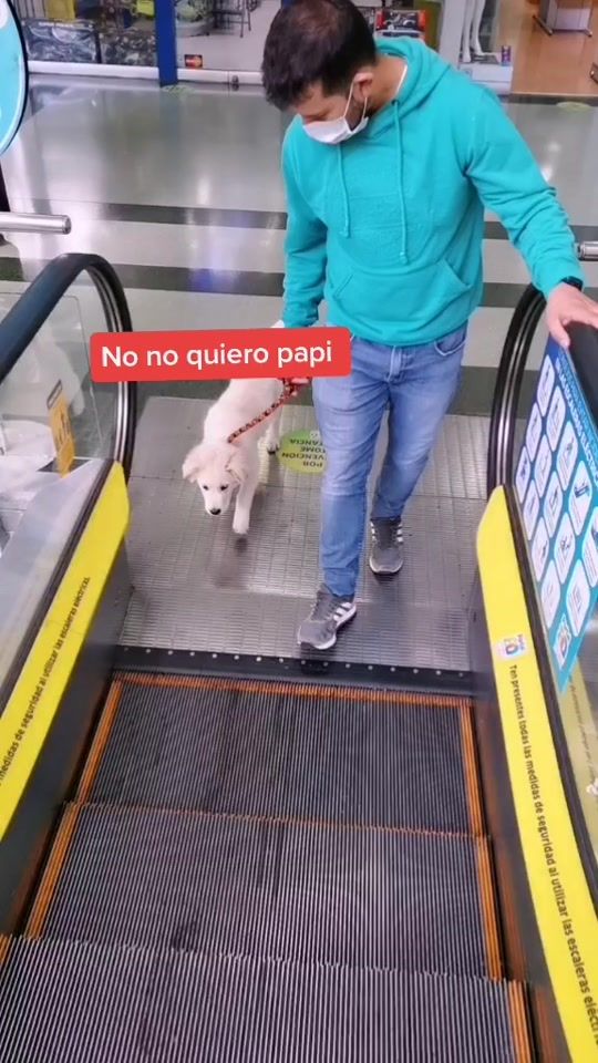 TikTok video thumbnail by linischapa