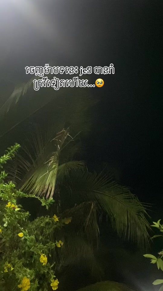 TikTok video thumbnail by celi.nin.5