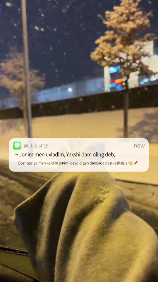 TikTok video thumbnail by _bibish15