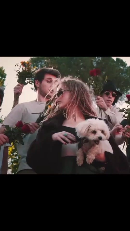 TikTok video thumbnail by maneskin.ej