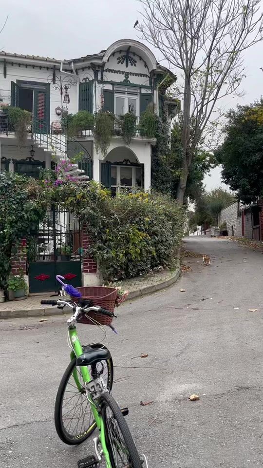 TikTok video thumbnail by shahdzzak