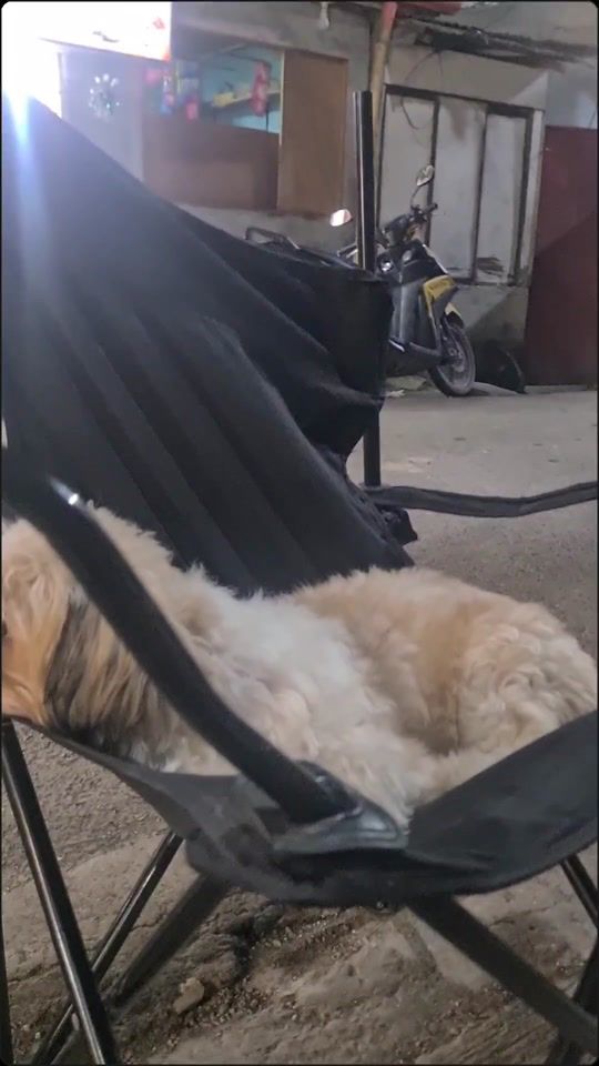 TikTok video thumbnail by ainad_yam