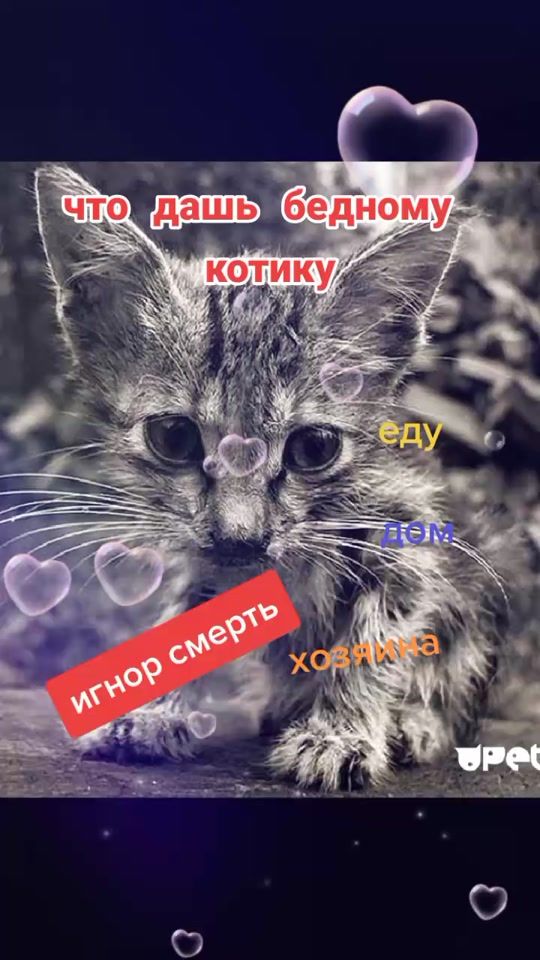 TikTok video thumbnail by wlad320