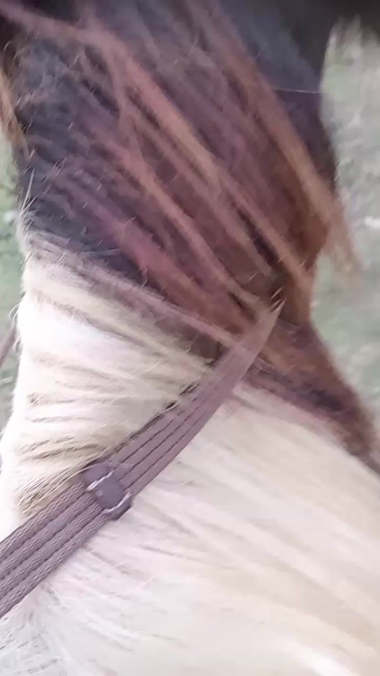 TikTok video thumbnail by _______shaheed_______