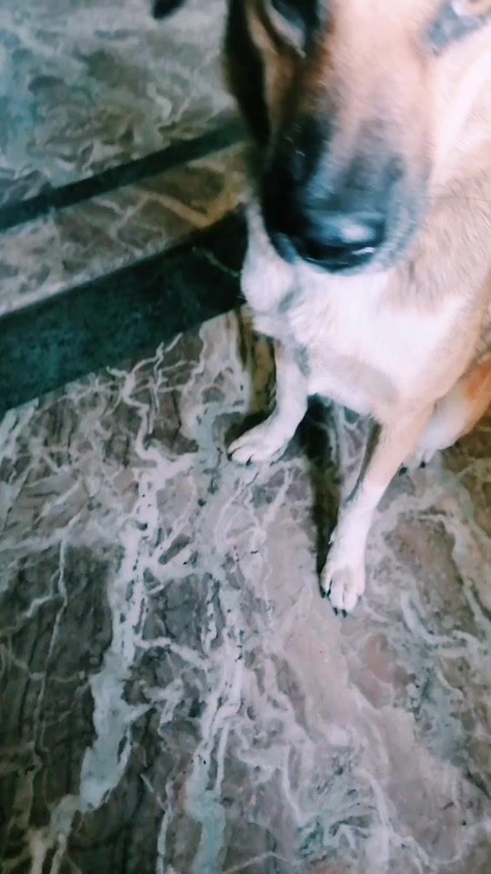 TikTok video thumbnail by devikasangroula