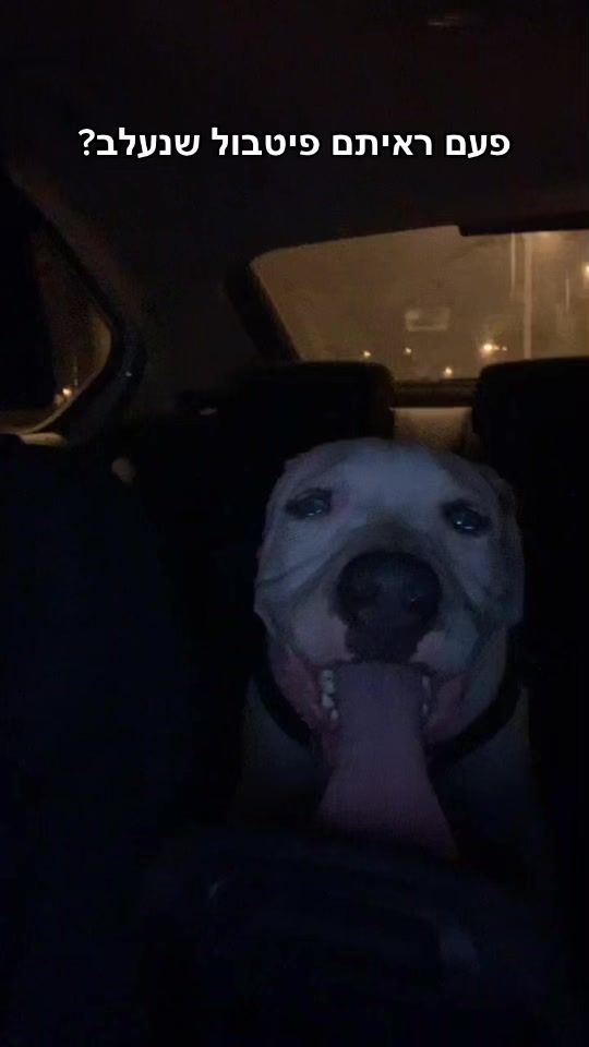 TikTok video thumbnail by shai_cohen22