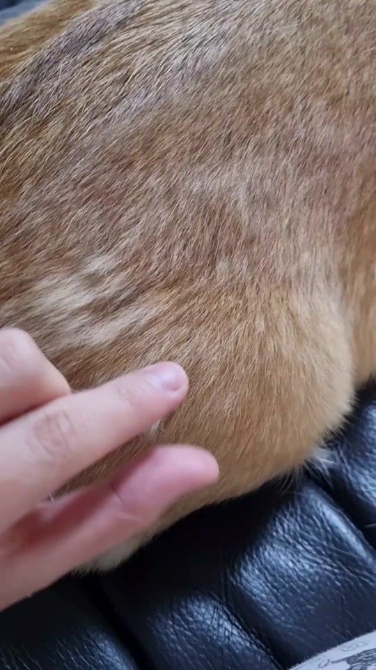 TikTok video thumbnail by ha_mongni