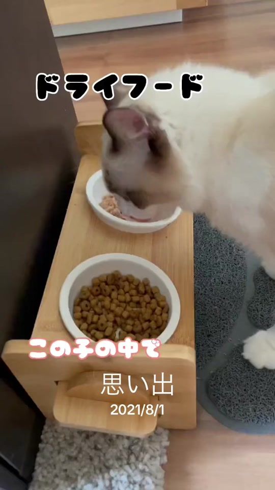 TikTok video thumbnail by 11.20macaron