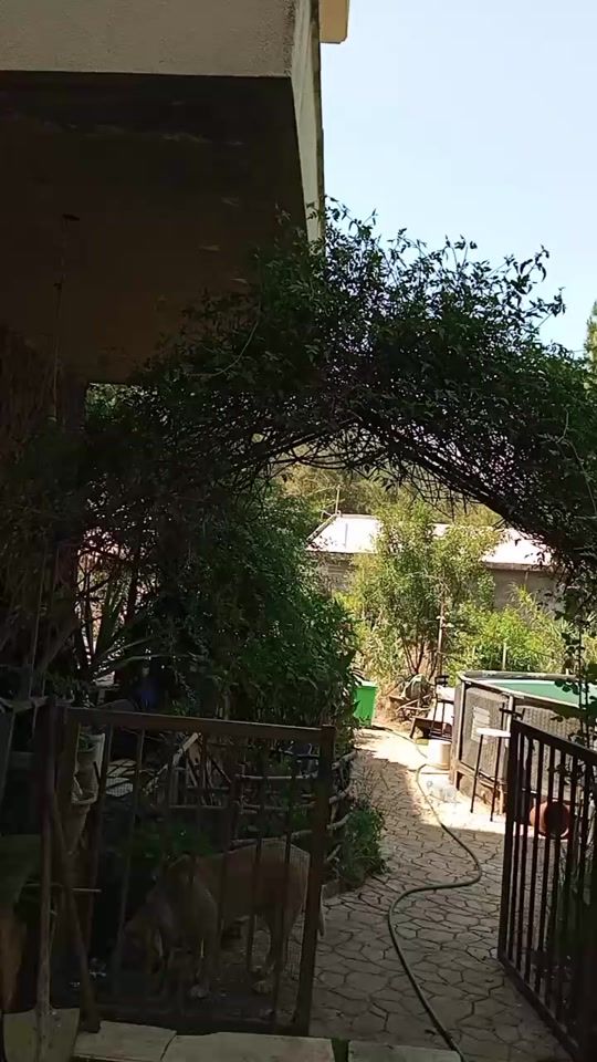 TikTok video thumbnail by eliemoussa112