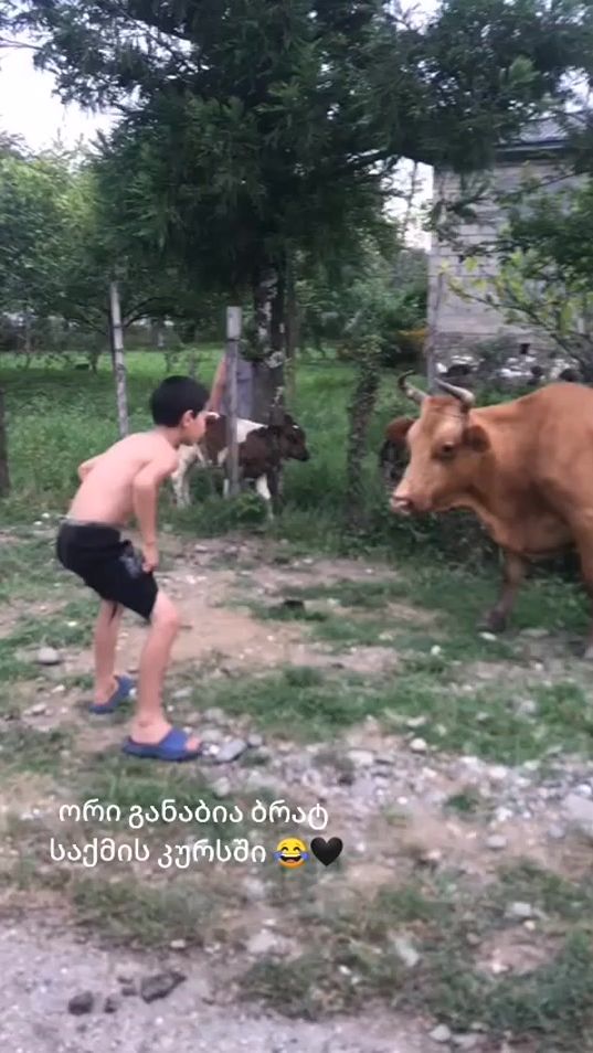 TikTok video thumbnail by mgabrava