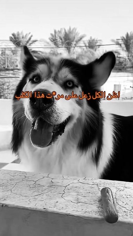 TikTok video thumbnail by b_11d511