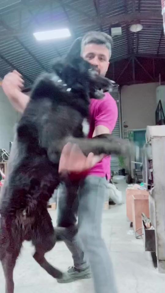 TikTok video thumbnail by serkanterzi0