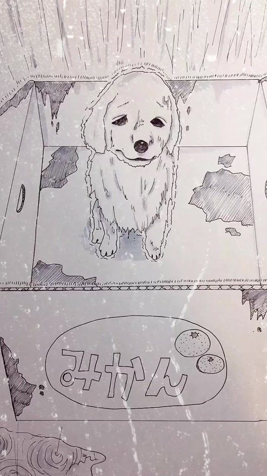 TikTok video thumbnail by kai_ohagi_8