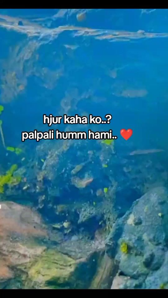 TikTok video thumbnail by su_ni_l55
