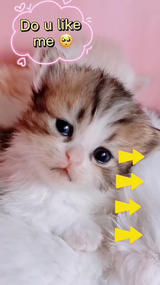 TikTok video thumbnail by cutieyes_