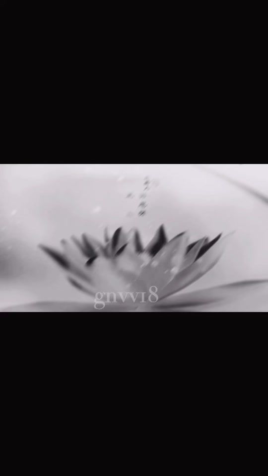 TikTok video thumbnail by gnvv18