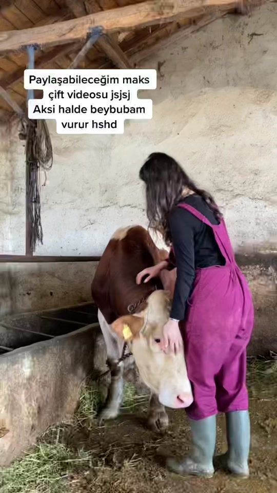 TikTok video thumbnail by tezenegil