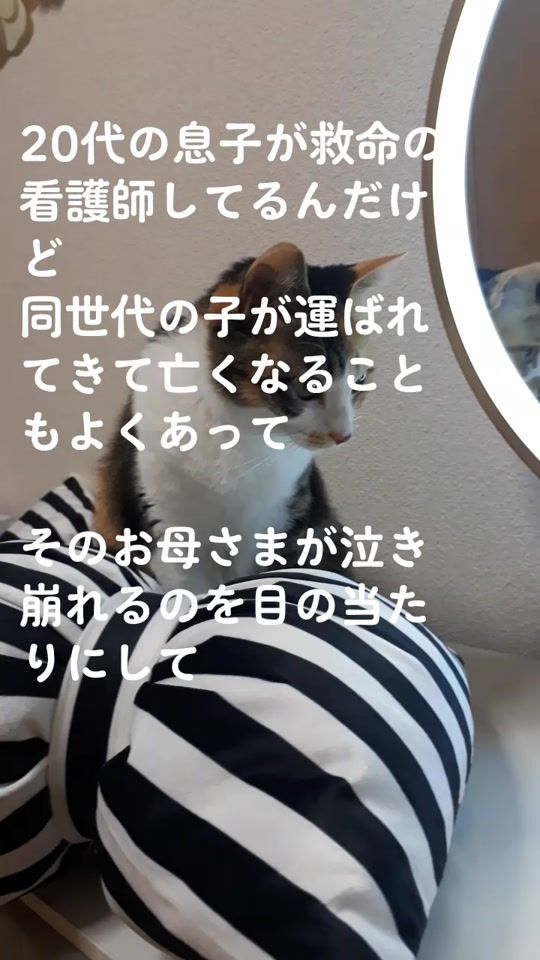 TikTok video thumbnail by omusubi2828