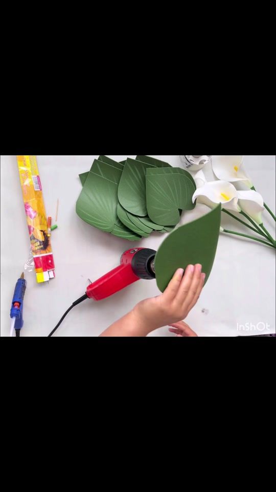 TikTok video thumbnail by flowers_talantbekkyzy