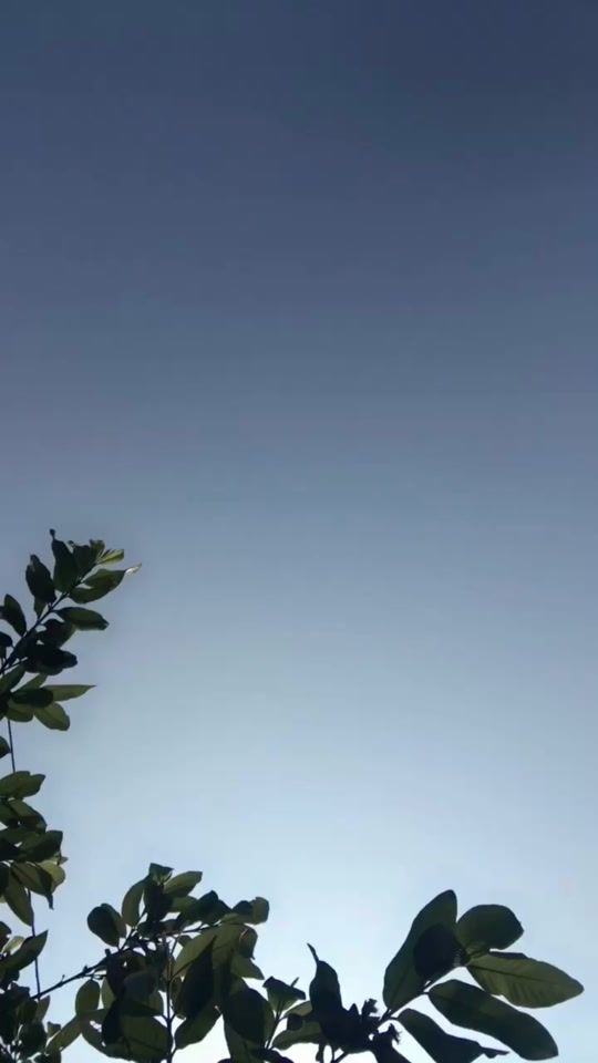 TikTok video thumbnail by babitaserma