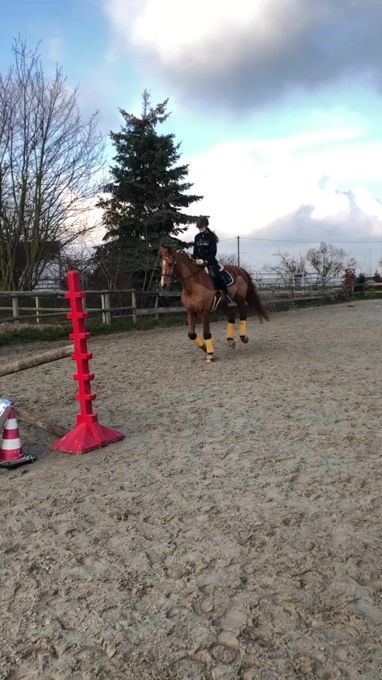 TikTok video thumbnail by lxna_horsegirl