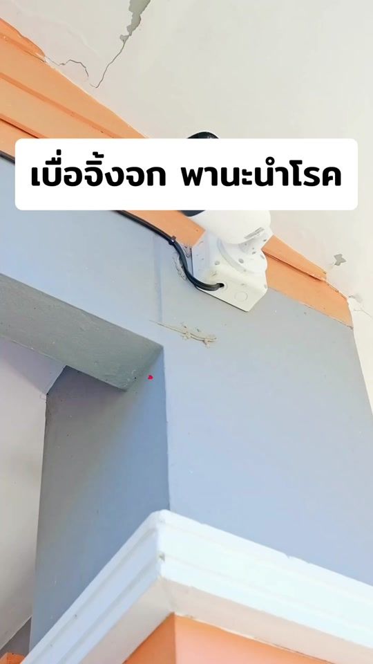 TikTok video thumbnail by sclearthailand