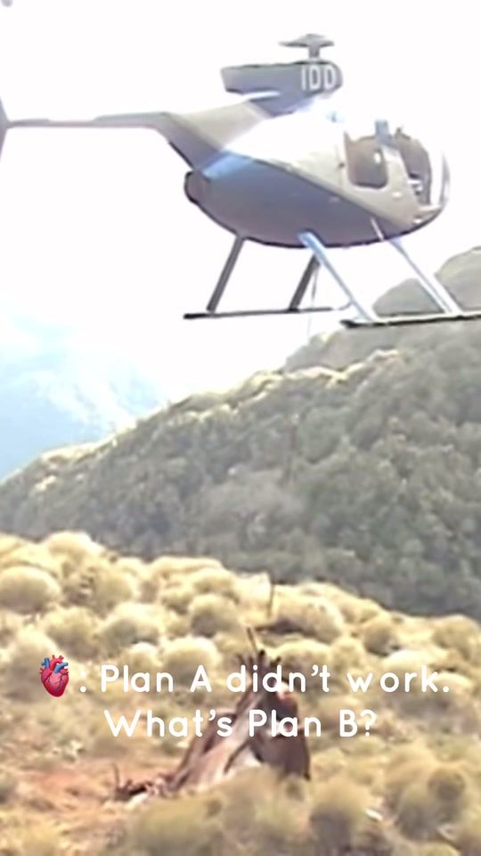 TikTok video thumbnail by helihub..nz
