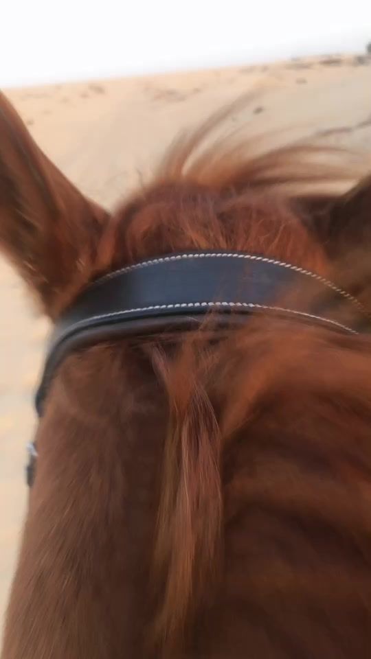 TikTok video thumbnail by tatsianashyshko