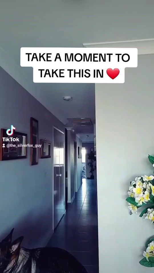TikTok video thumbnail by the_silverfox_guy