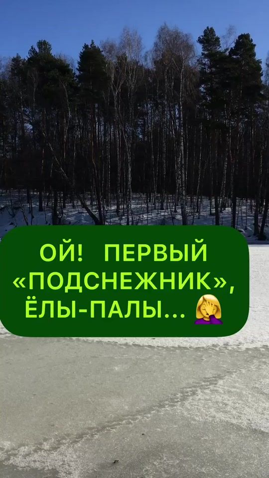 TikTok video thumbnail by antiborschevik
