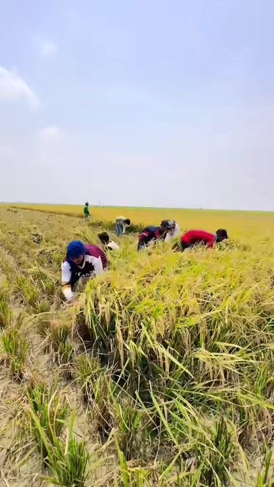 TikTok video thumbnail by bkriyazpathan999