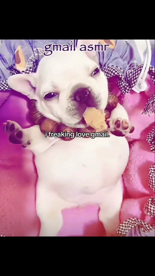 TikTok video thumbnail by raezjx