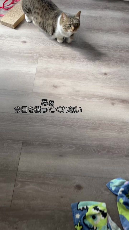 TikTok video thumbnail by ruru_chan716