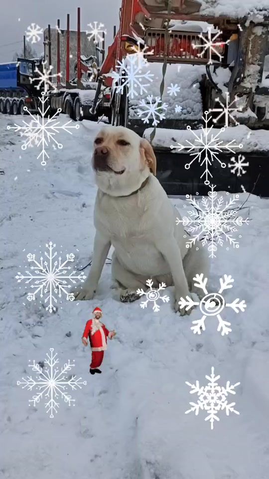 TikTok video thumbnail by nessi.vanessa.nessi