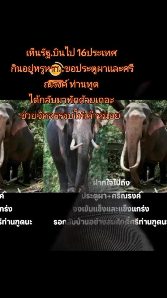 TikTok video thumbnail by mingie_channel