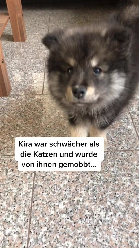 TikTok video thumbnail by she_kira_me_timo