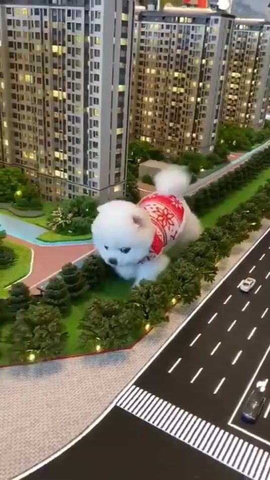 TikTok video thumbnail by cute_sweet_pets6